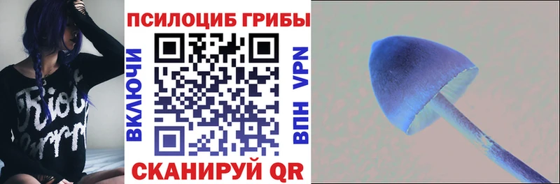 дарнет шоп  Электрогорск  Псилоцибиновые грибы ЛСД 